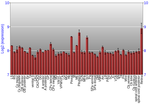 Expression graph