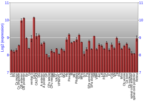 Expression graph