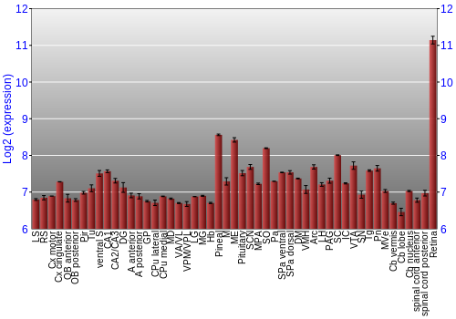 Expression graph