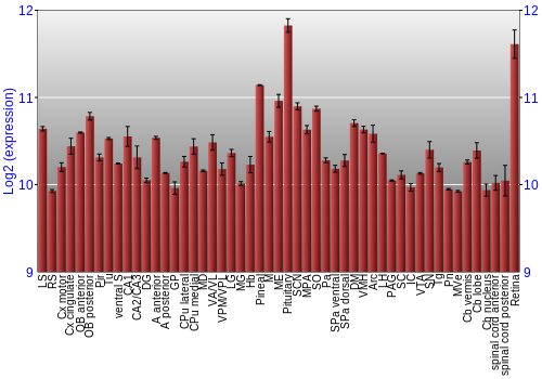 Expression graph