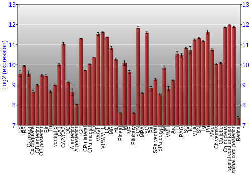 Expression graph