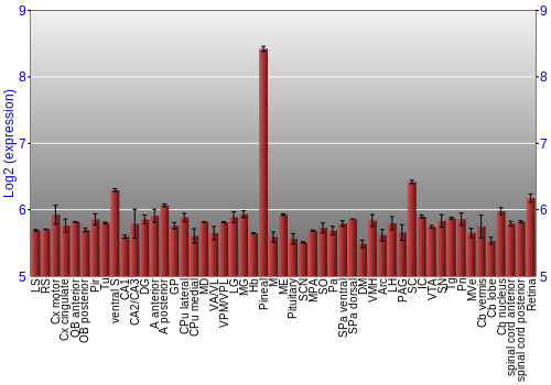 Expression graph