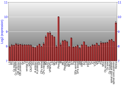 Expression graph