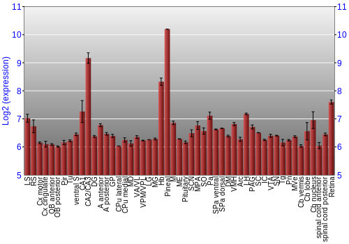 Expression graph