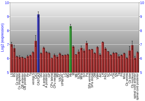 Multi-state expression graph
