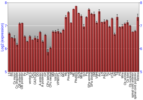 Expression graph