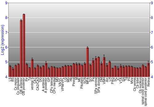 Expression graph