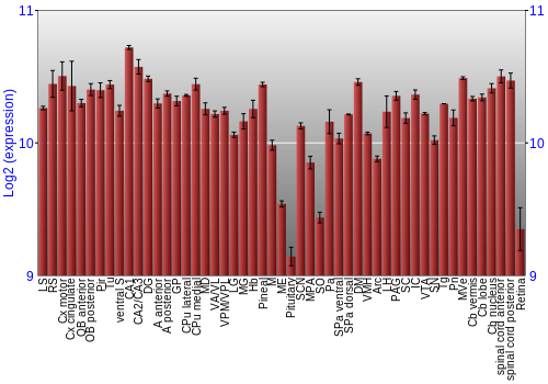 Expression graph