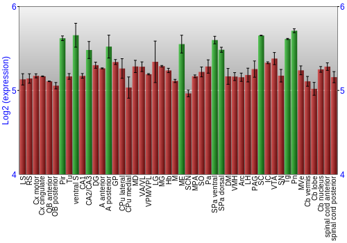 Multi-state expression graph