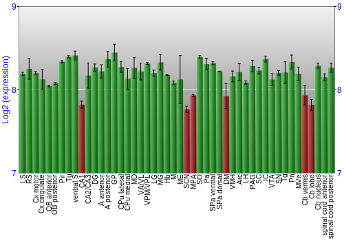 Multi-state expression graph