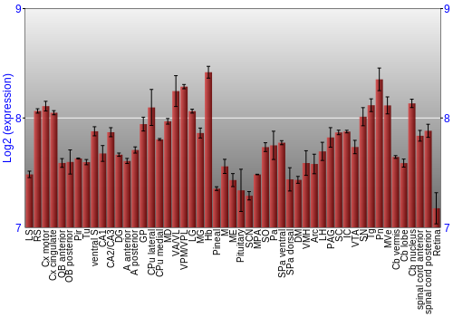 Expression graph