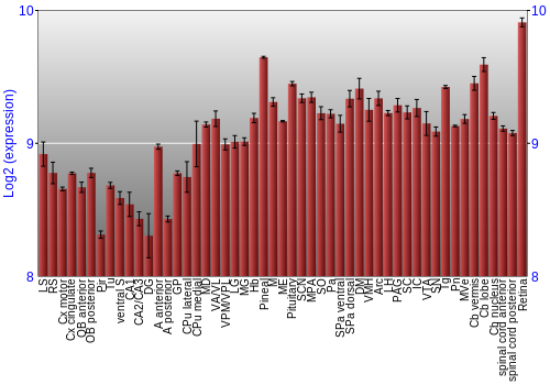 Expression graph
