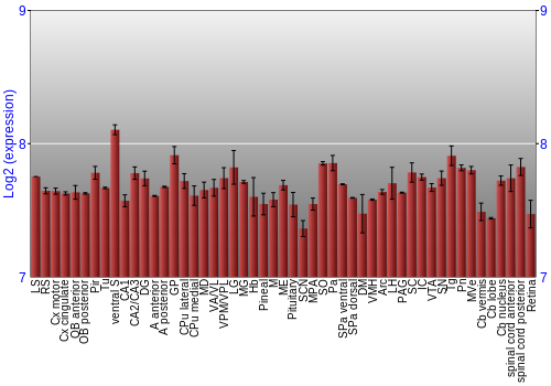 Expression graph