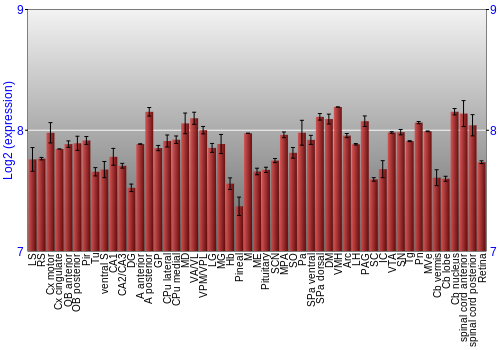 Expression graph