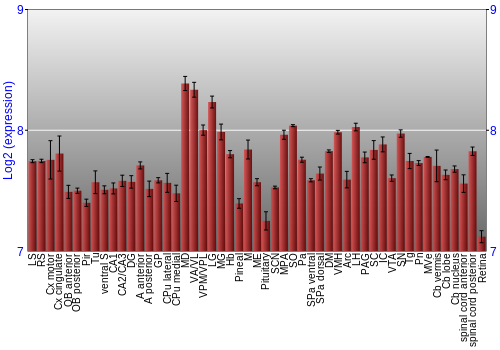 Expression graph