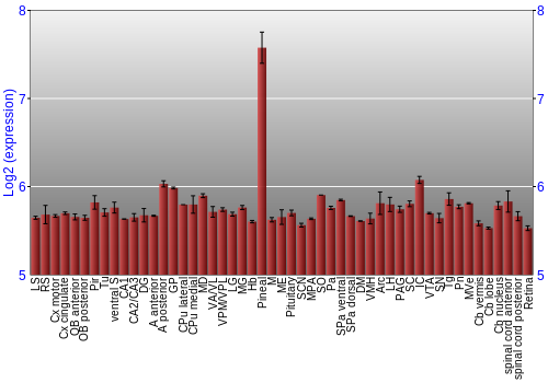 Expression graph