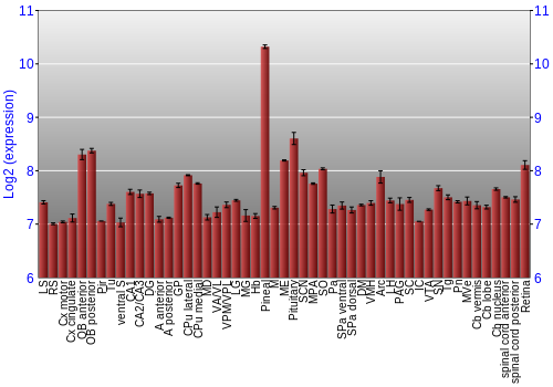 Expression graph