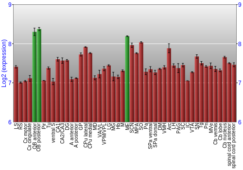 Multi-state expression graph