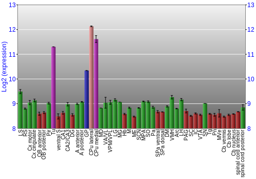 Multi-state expression graph