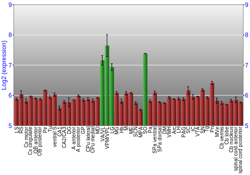 Multi-state expression graph