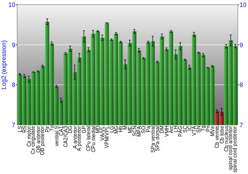 Multi-state expression graph