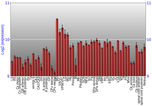 Expression graph