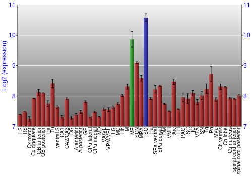 Multi-state expression graph