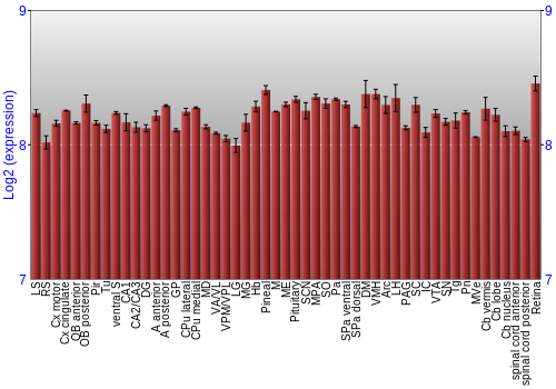Expression graph