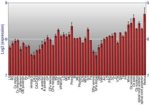 Expression graph