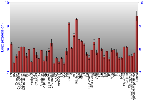 Expression graph