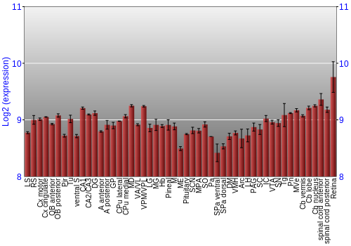 Expression graph