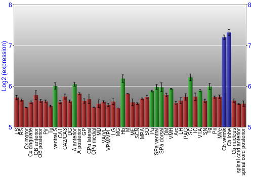Multi-state expression graph