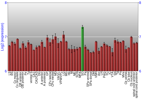 Multi-state expression graph