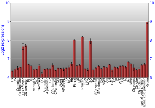 Expression graph