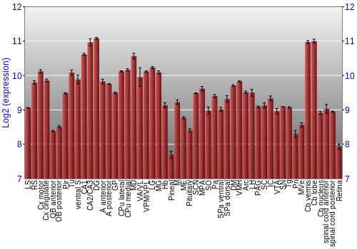 Expression graph