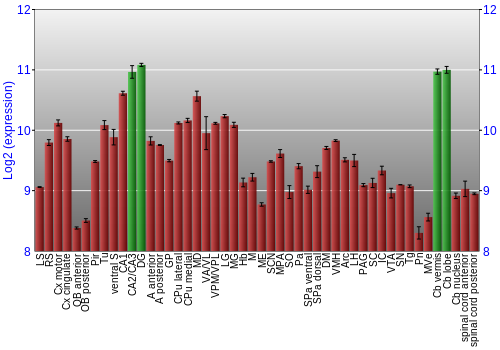 Multi-state expression graph