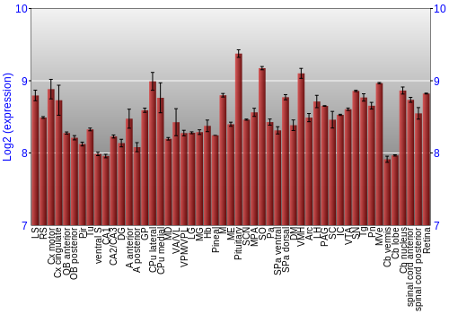 Expression graph