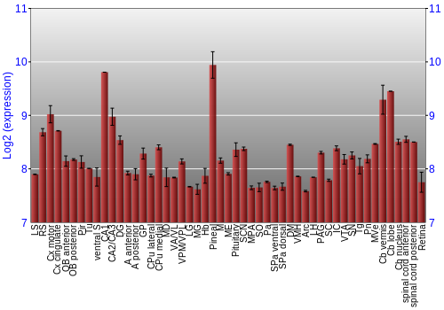 Expression graph
