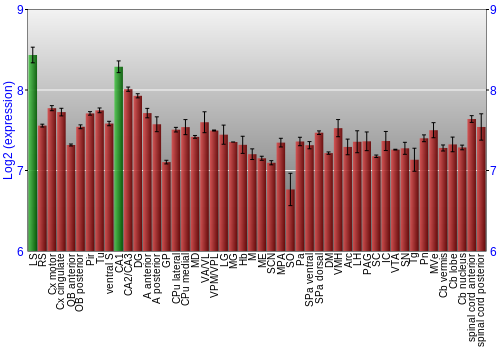 Multi-state expression graph