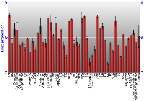 Expression graph