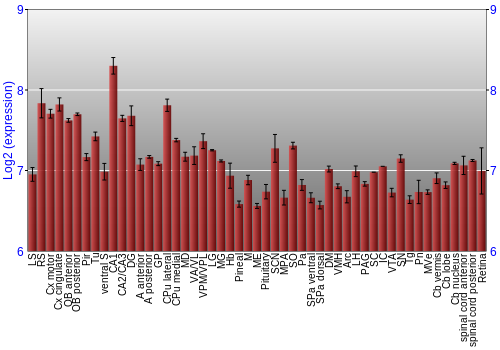 Expression graph