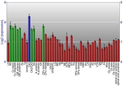 Multi-state expression graph