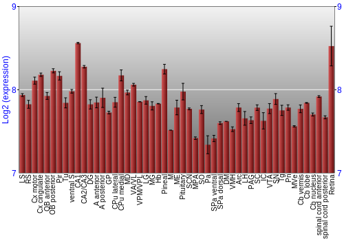 Expression graph
