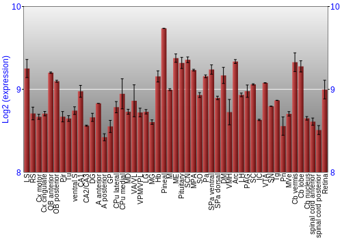 Expression graph