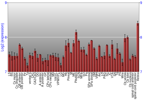 Expression graph