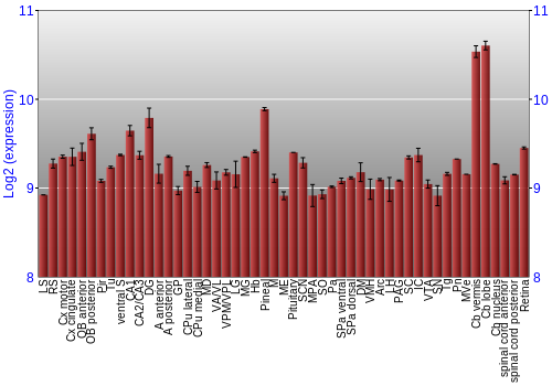 Expression graph