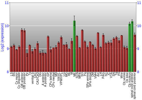 Multi-state expression graph