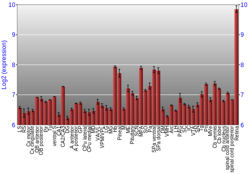 Expression graph