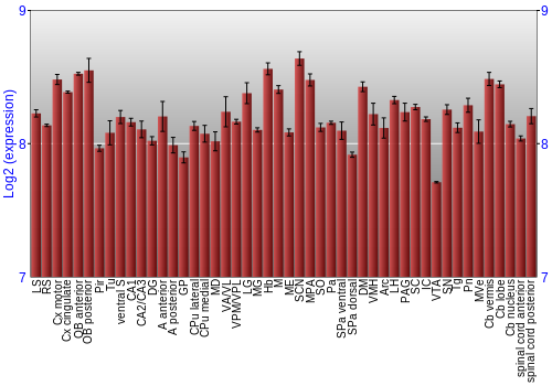 Multi-state expression graph