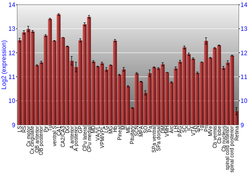 Expression graph